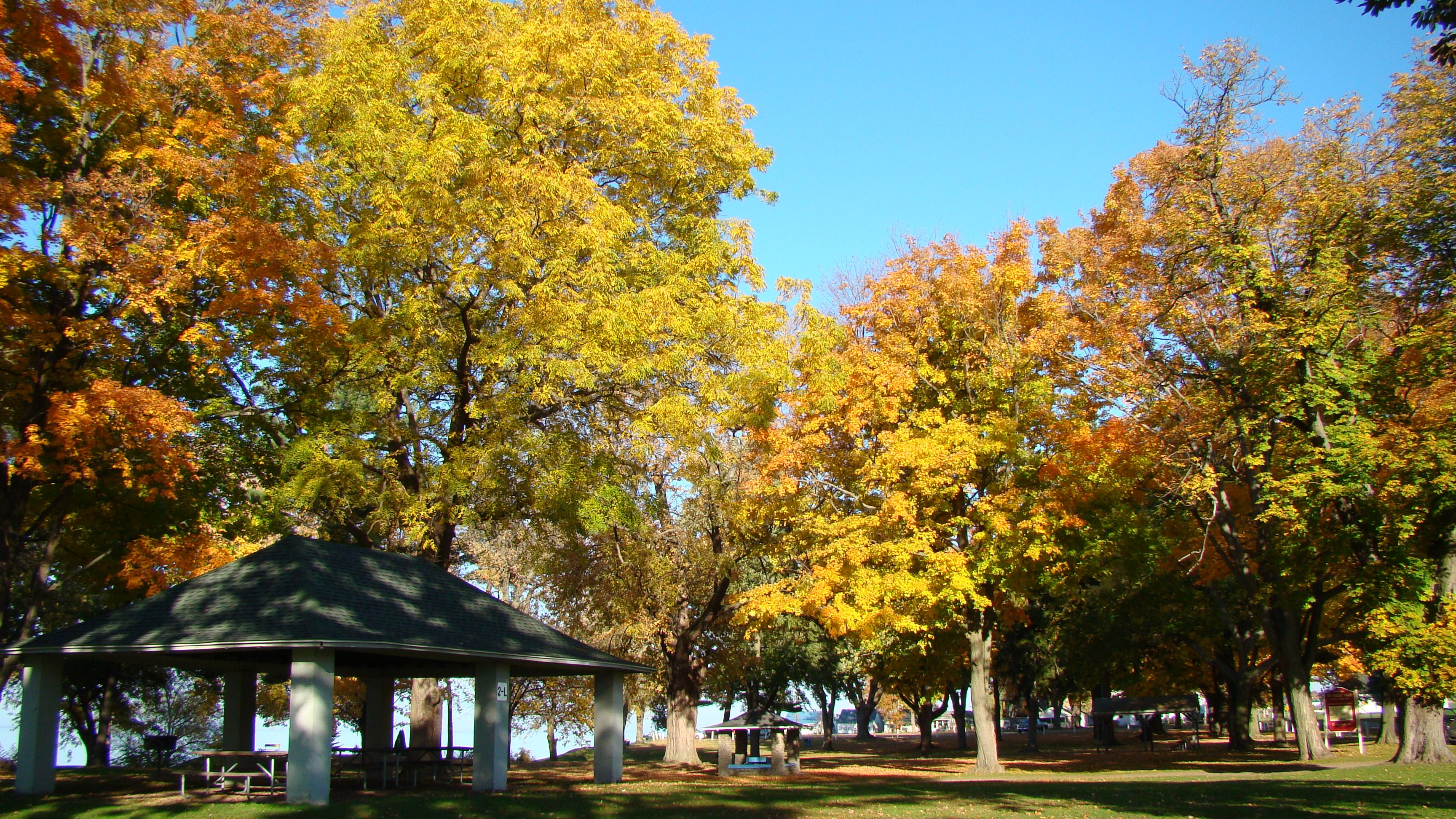 Krull Park - something for every family member.